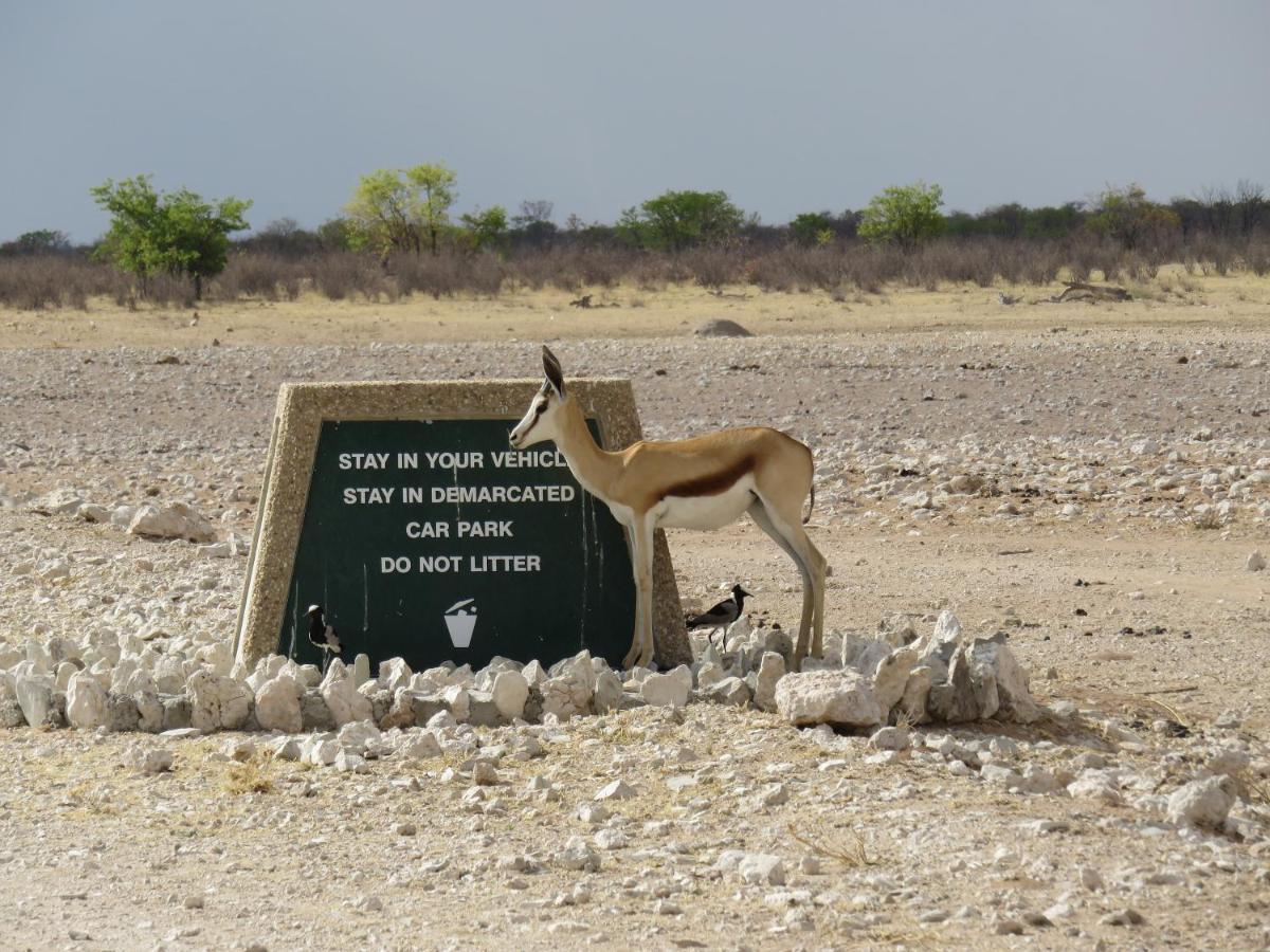 Etosha Safari Campsite 외부 사진